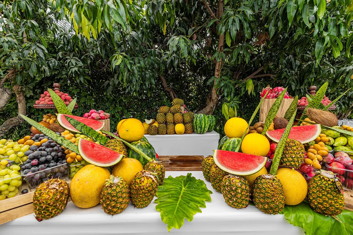 A fruit display of halved watermelons, pineapples, melons and grapes with palm leaves on a white table under trees