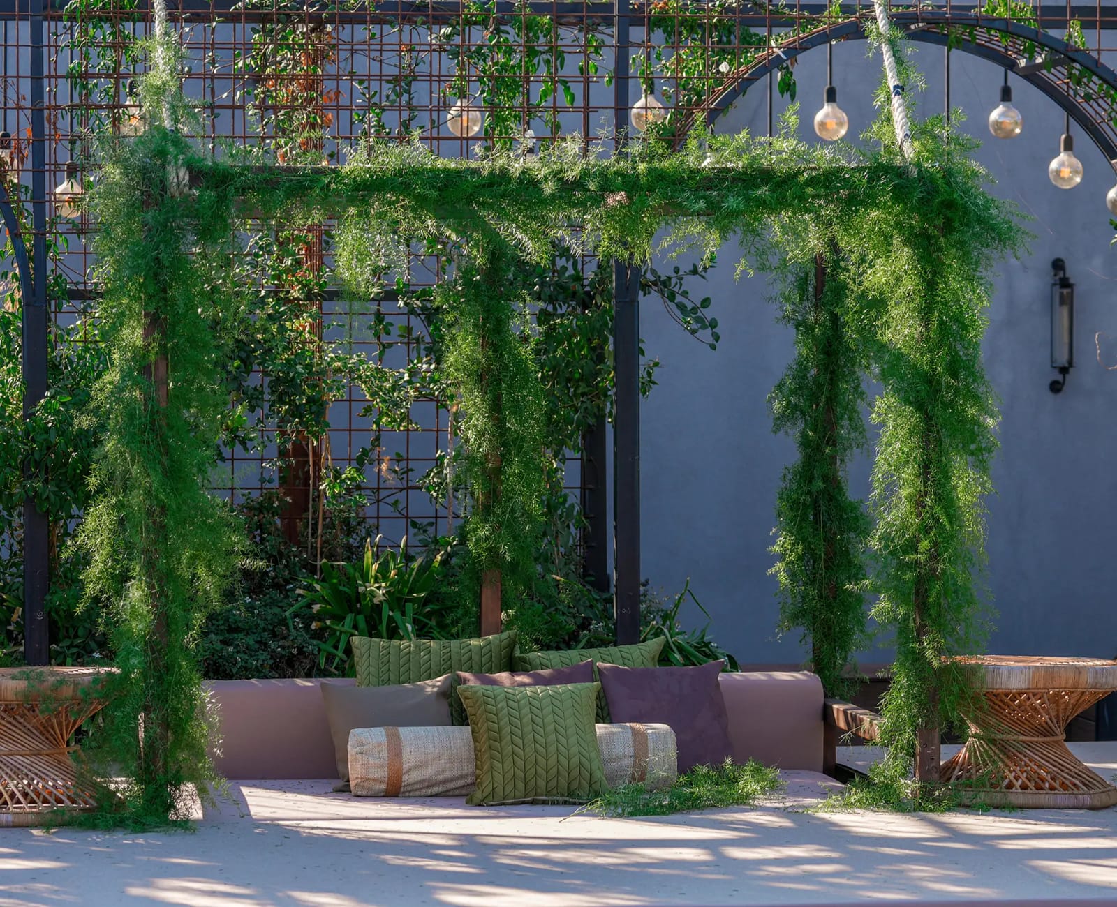 Climbing-greenery pergola above a low sofa with green and mauve cushions against a grey wall with globe bulbs