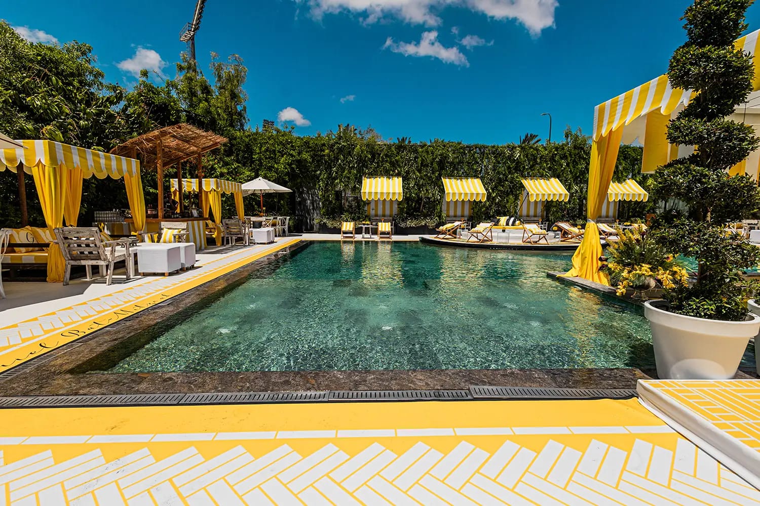 Pool with yellow canopies on one side and a sculpted topiary tree on the other, with yellow and white tiles in front
