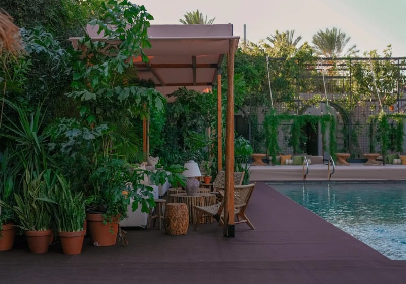 Wooden deck beside a pool with a fabric canopy, terracotta pots and plants, and palm trees behind
