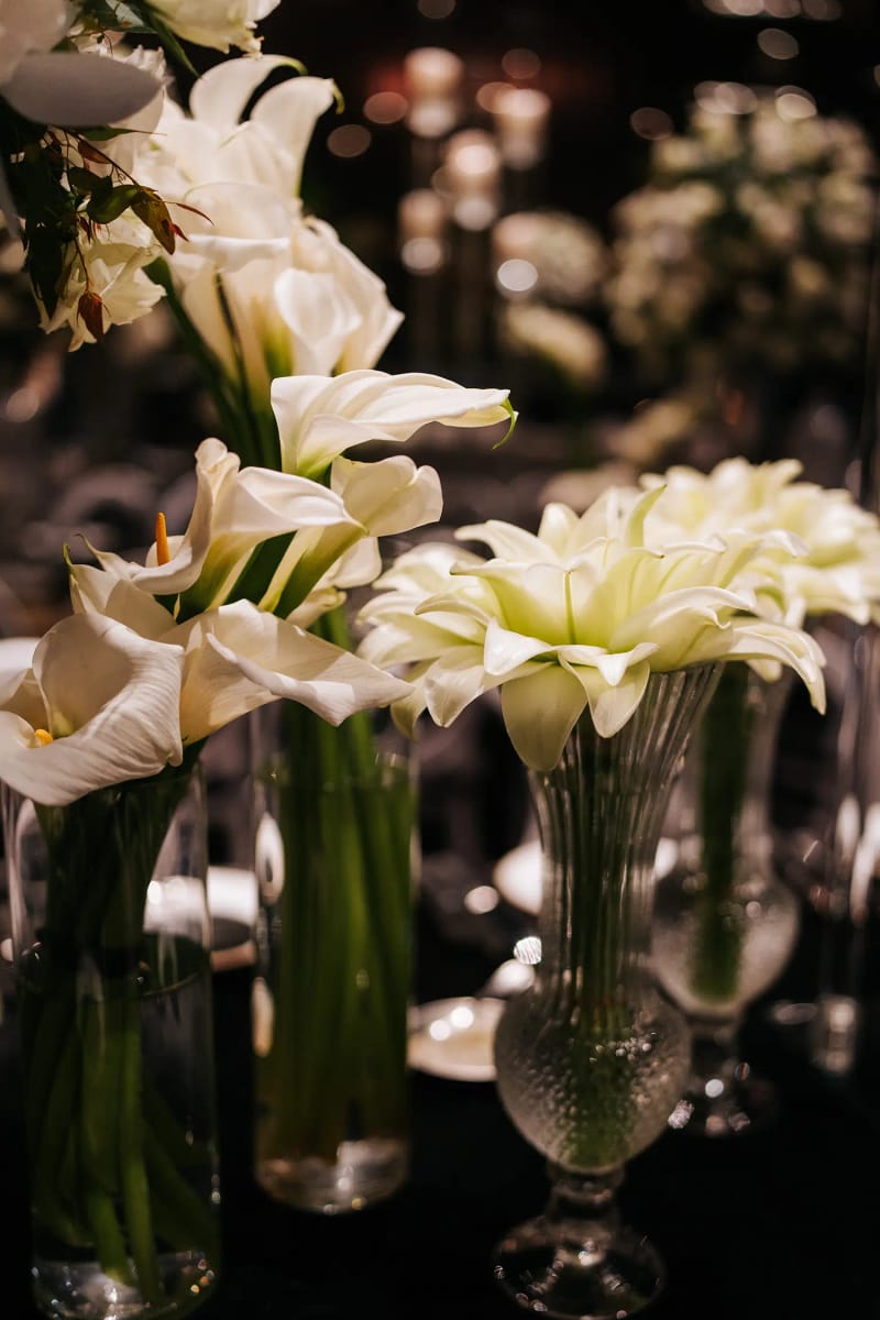 Close-up of white calla lilies with green stems in glass vases against a dark blurred background