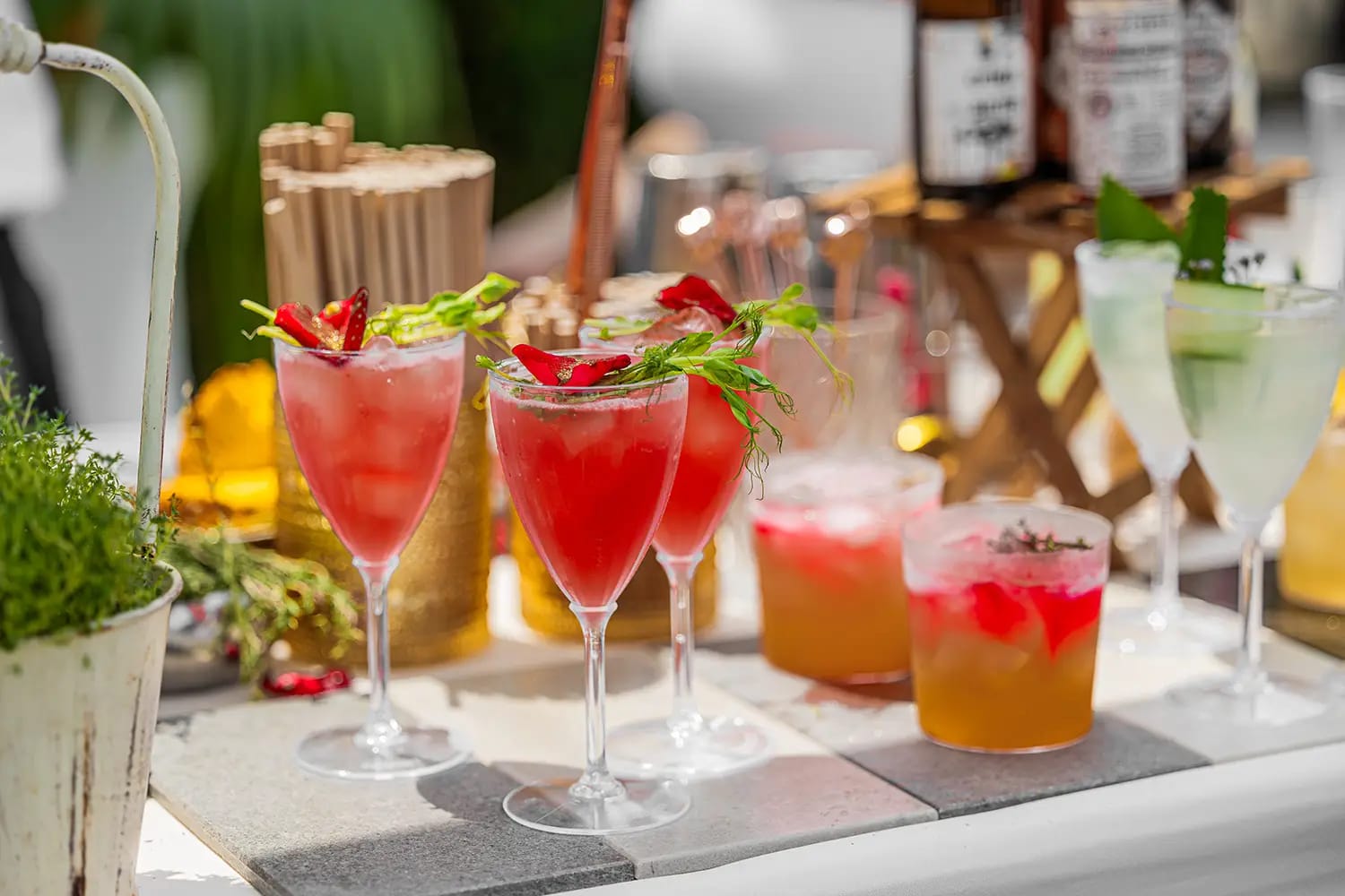 Gros plan de cocktails rouges et orange garnis d'herbes, en verres à pied et gobelets, sur un bar