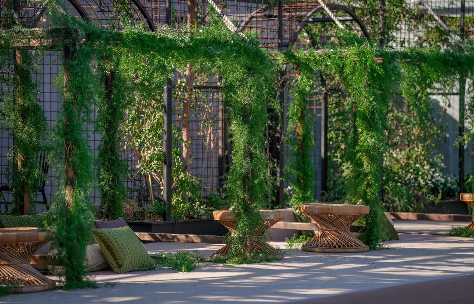 Metal pergola draped in climbing greenery over an open floor with low wooden tables and cushions