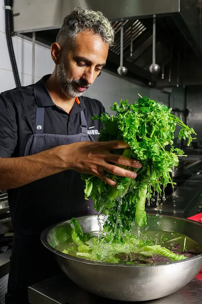 A chef in a dark apron lifting a bunch of fresh green leaves out of water in a large steel bowl in a kitchen